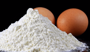 Best Egg White Protein Powder