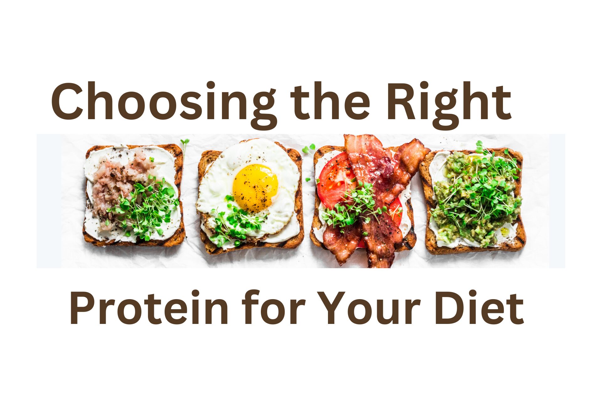 Choosing the right protein for your lifestyle diet